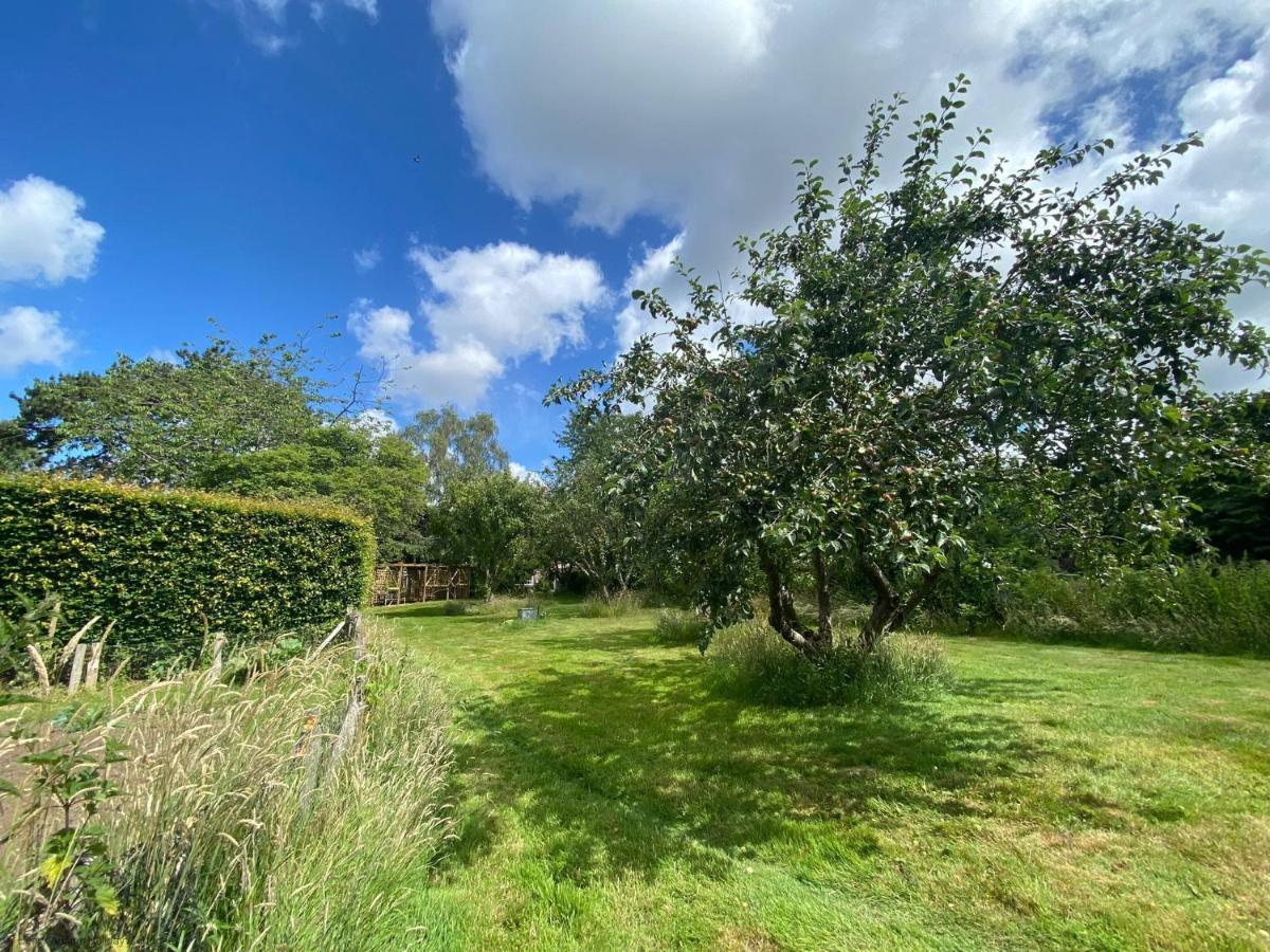 Vane Cottage - Lewes Kültér fotó
